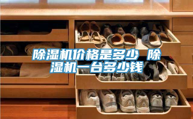 除濕機(jī)價格是多少 除濕機(jī)一臺多少錢