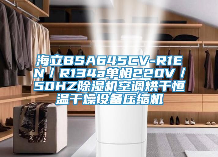 海立BSA645CV-R1EN／R134a單相220V／50HZ除濕機空調烘干恒溫干燥設備壓縮機