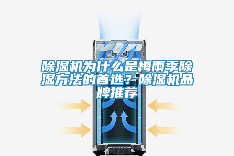 除濕機為什么是梅雨季除濕方法的首選？除濕機品牌推薦