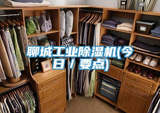 聊城工業除濕機(今日/要點)