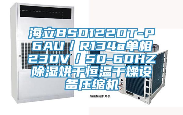海立BSD122DT-P6AU／R134a單相230V／50-60HZ除濕烘干恒溫干燥設備壓縮機