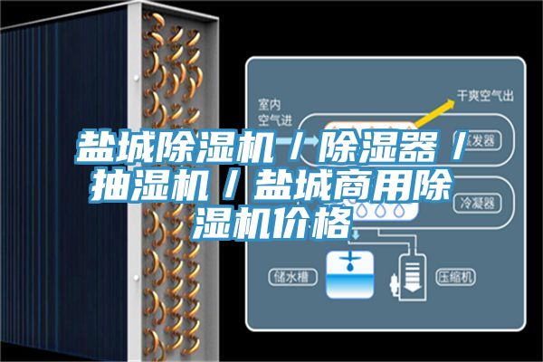 鹽城除濕機(jī)／除濕器／抽濕機(jī)／鹽城商用除濕機(jī)價格