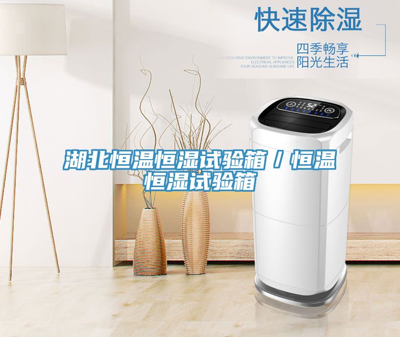 湖北恒溫恒濕試驗(yàn)箱／恒溫恒濕試驗(yàn)箱