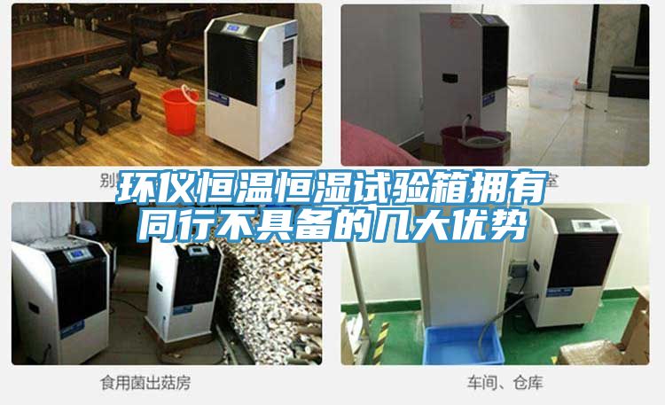 環儀恒溫恒濕試驗箱擁有同行不具備的幾大優勢