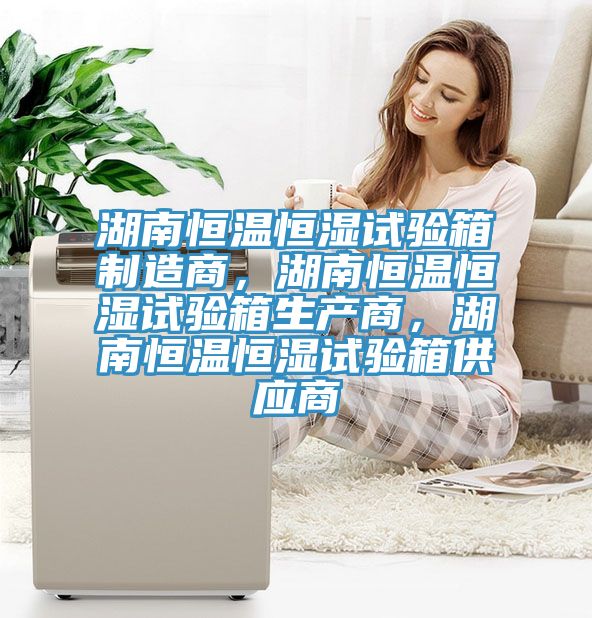 湖南恒溫恒濕試驗箱制造商，湖南恒溫恒濕試驗箱生產商，湖南恒溫恒濕試驗箱供應商