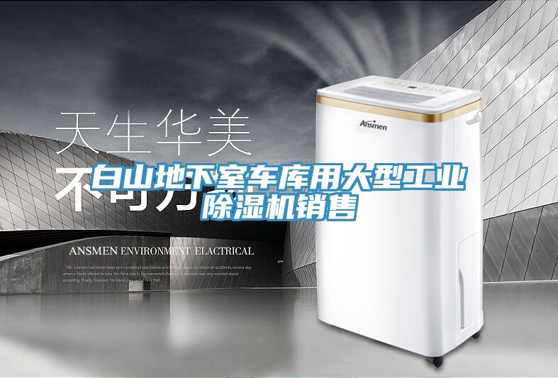 白山地下室車庫用大型工業除濕機銷售