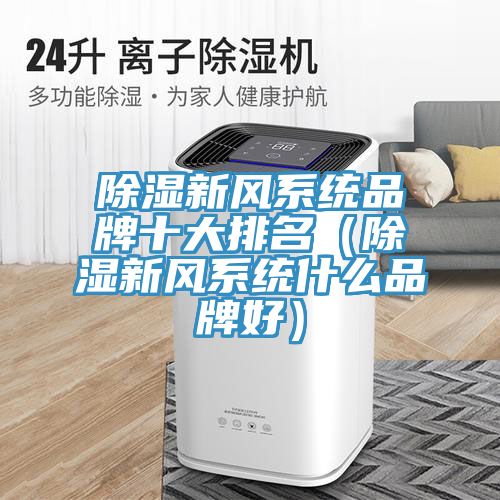 除濕新風系統品牌十大排名（除濕新風系統什么品牌好）