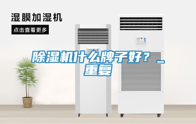 除濕機(jī)什么牌子好？_重復(fù)
