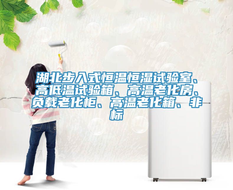 湖北步入式恒溫恒濕試驗(yàn)室、高低溫試驗(yàn)箱、高溫老化房、負(fù)載老化柜、高溫老化箱、非標(biāo)