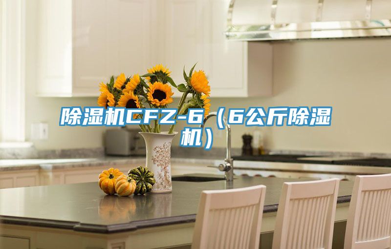 除濕機(jī)CFZ-6（6公斤除濕機(jī)）