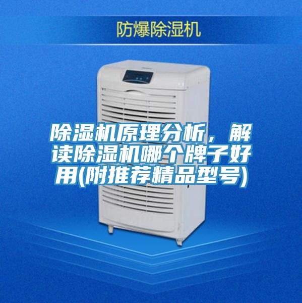 除濕機原理分析，解讀除濕機哪個牌子好用(附推薦精品型號)