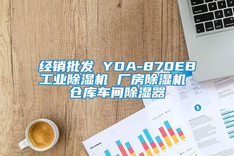 經銷批發(fā) YDA-870EB工業(yè)除濕機 廠房除濕機 倉庫車間除濕器