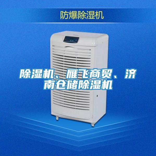除濕機、雁飛商貿、濟南倉儲除濕機