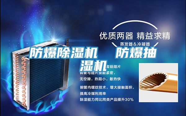 防爆除濕機(jī)  防爆抽濕機(jī)