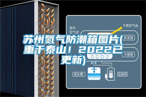 蘇州氮氣防潮箱圖片(重于泰山！2022已更新)