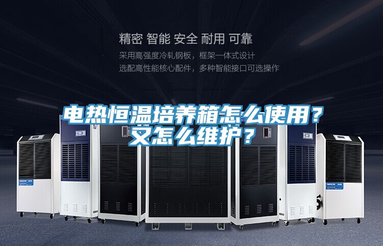 電熱恒溫培養(yǎng)箱怎么使用？又怎么維護(hù)？