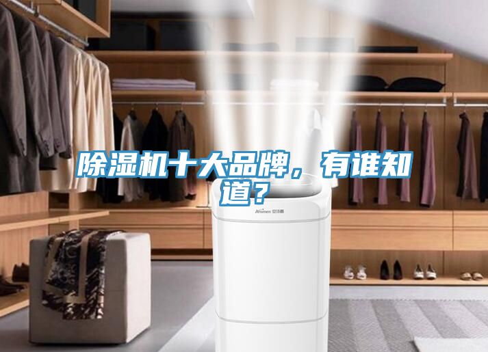 除濕機十大品牌,有誰知道?