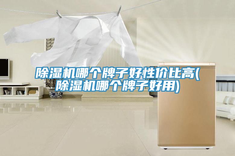 除濕機哪個牌子好性價比高(除濕機哪個牌子好用)