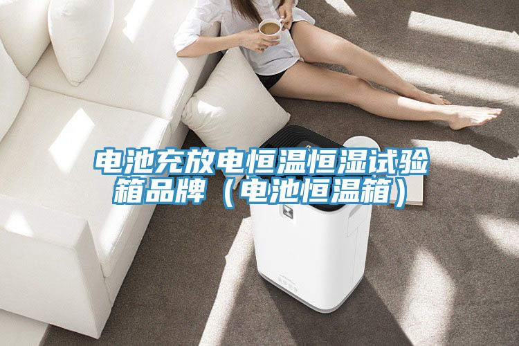 電池充放電恒溫恒濕試驗箱品牌(電池恒溫箱)