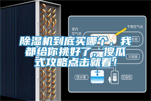除濕機到底買哪個，我都給你挑好了，傻瓜式攻略點擊就看！