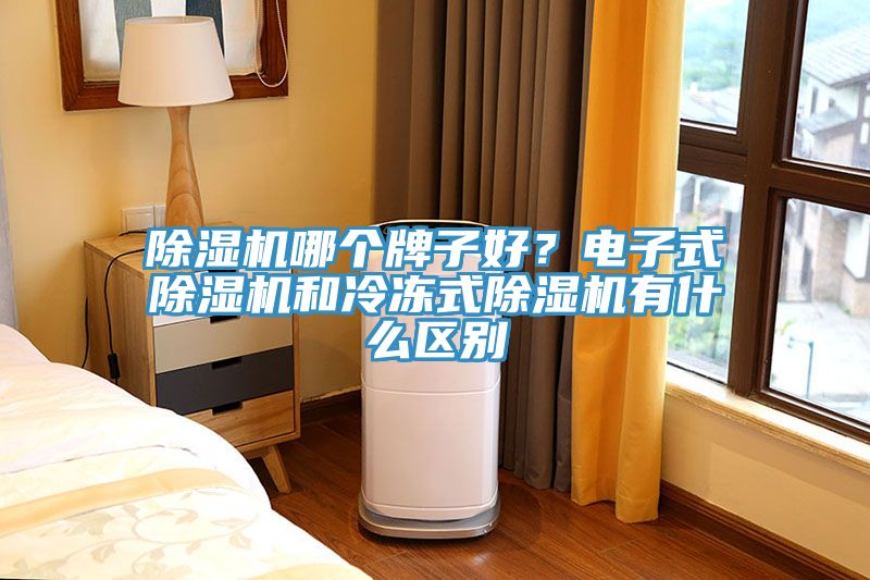 除濕機哪個牌子好？電子式除濕機和冷凍式除濕機有什么區別