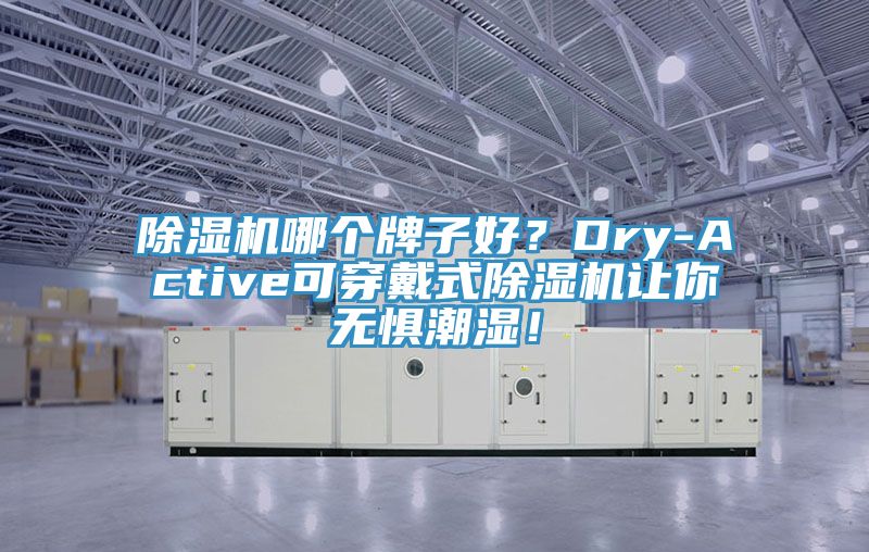 除濕機哪個牌子好？Dry-Active可穿戴式除濕機讓你無懼潮濕！