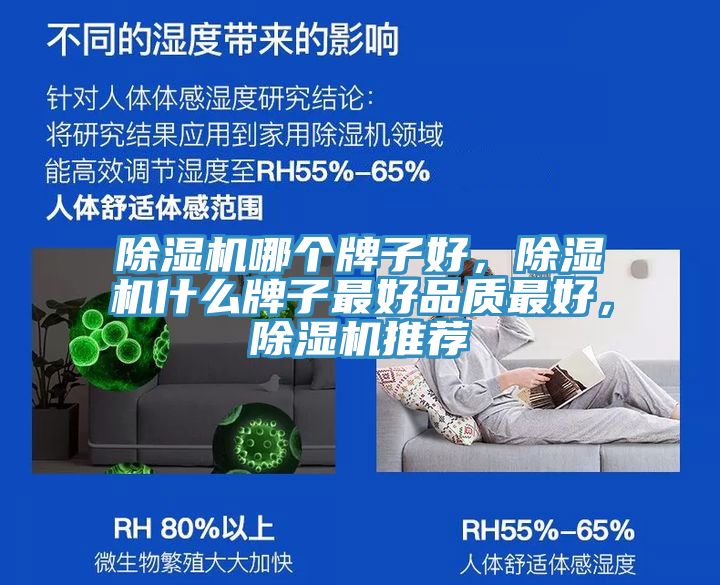 除濕機哪個牌子好，除濕機什么牌子最好品質最好，除濕機推薦