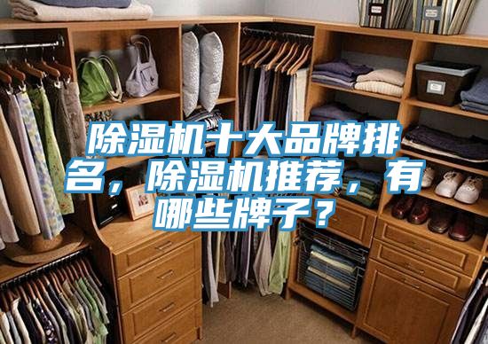 除濕機十大品牌排名，除濕機推薦，有哪些牌子？