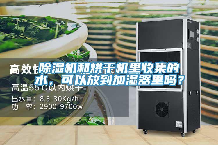 除濕機(jī)和烘干機(jī)里收集的水，可以放到加濕器里嗎？