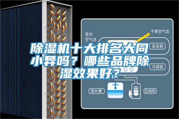 除濕機十大排名大同小異嗎？哪些品牌除濕效果好？