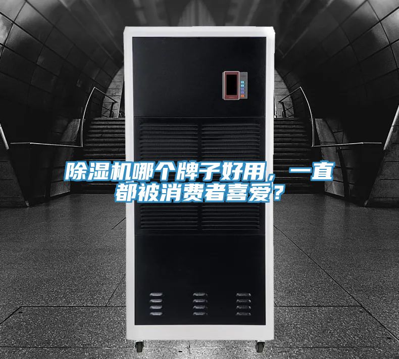除濕機哪個牌子好用，一直都被消費者喜愛？
