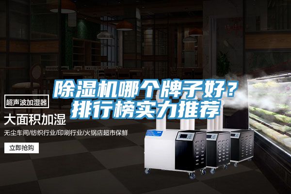 除濕機哪個牌子好？排行榜實力推薦