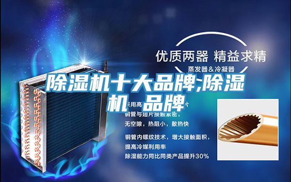 除濕機十大品牌,除濕機 品牌