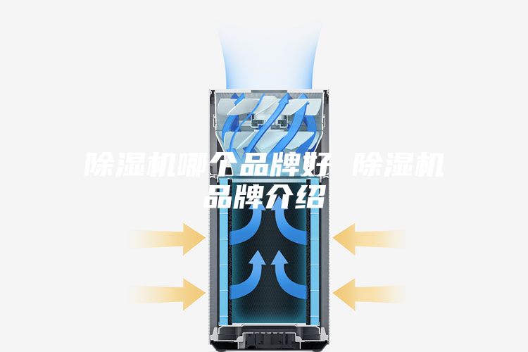 除濕機哪個品牌好 除濕機品牌介紹