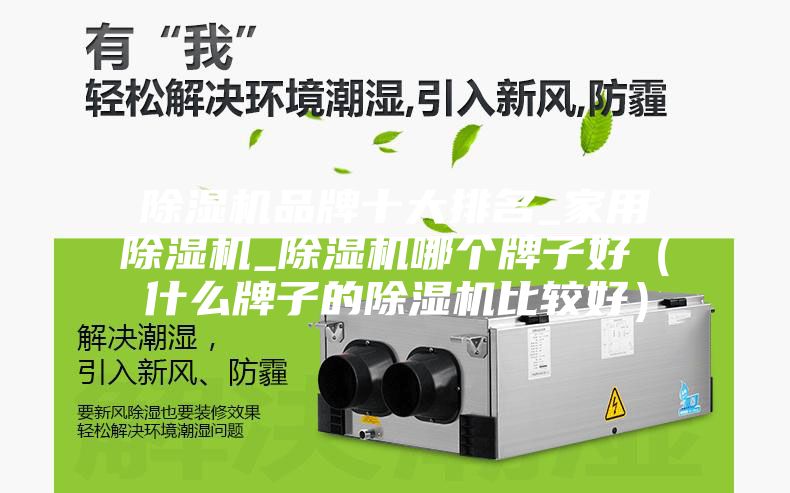 除濕機品牌十大排名_家用除濕機_除濕機哪個牌子好(什么牌子的除濕機比較好)