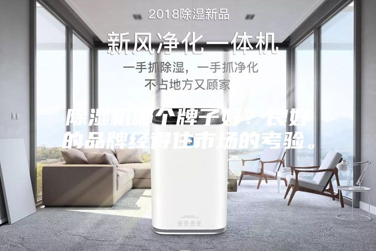 除濕機哪個牌子好？良好的品牌經得住市場的考驗。