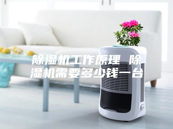 除濕機(jī)工作原理 除濕機(jī)需要多少錢(qián)一臺(tái)
