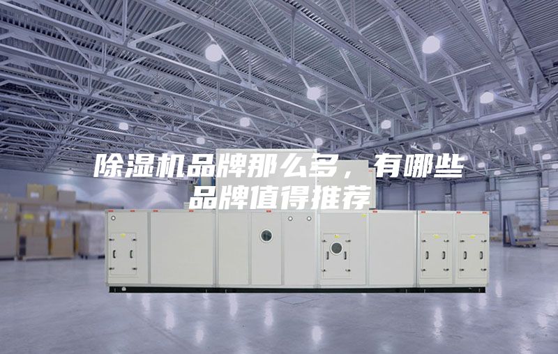 除濕機品牌那么多,有哪些品牌值得推薦