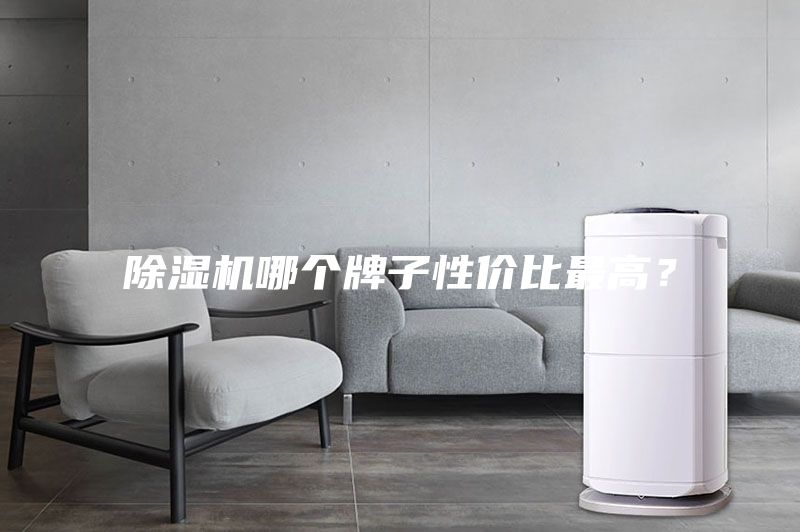 除濕機哪個牌子性價比最高？