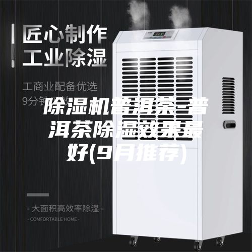 除濕機普洱茶-普洱茶除濕效果最好(9月推薦)