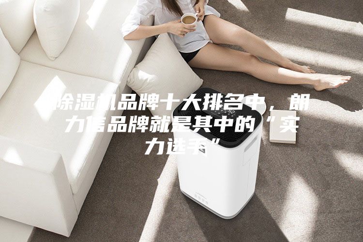 除濕機品牌十大排名中,朗力信品牌就是其中的“實力選手”