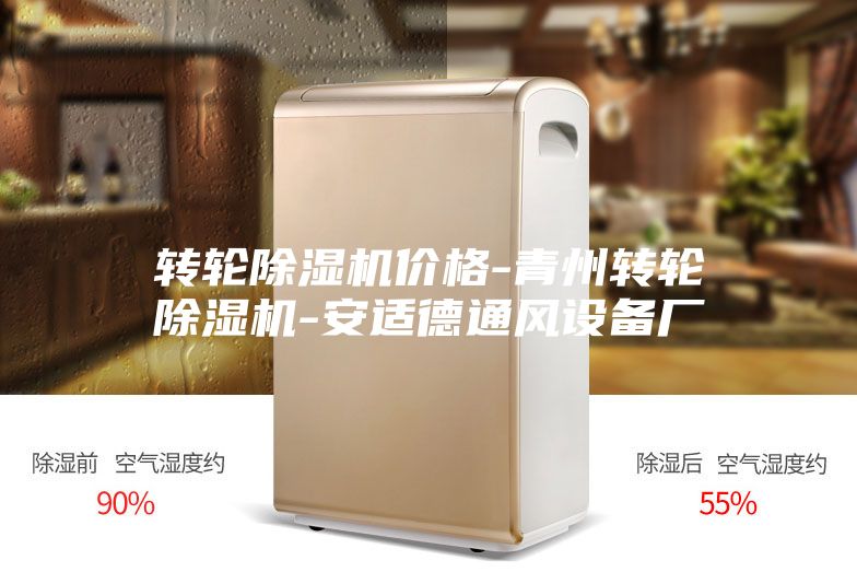 轉(zhuǎn)輪除濕機(jī)價格-青州轉(zhuǎn)輪除濕機(jī)-安適德通風(fēng)設(shè)備廠