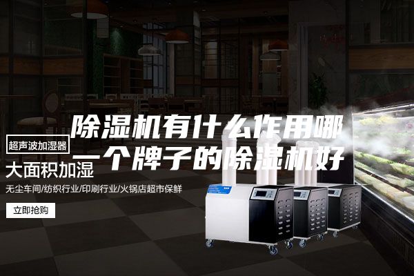 除濕機有什么作用哪一個牌子的除濕機好