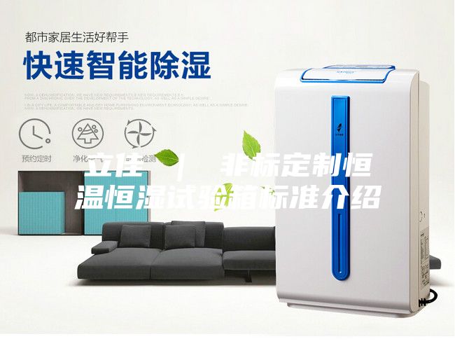 立佳 ｜ 非標定制恒溫恒濕試驗箱標準介紹