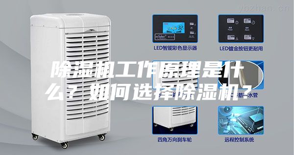 除濕機工作原理是什么?如何選擇除濕機?
