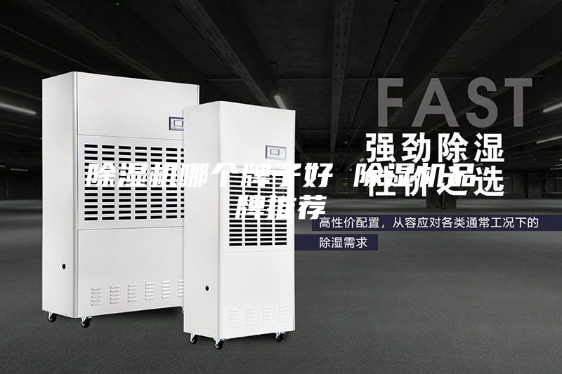 除濕機哪個牌子好 除濕機品牌推薦