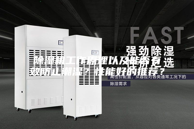 除濕機工作原理以及能否有效防止潮濕？性能好的推薦？