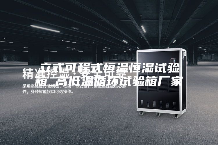 立式可程式恒溫恒濕試驗箱_高低溫循環試驗箱廠家