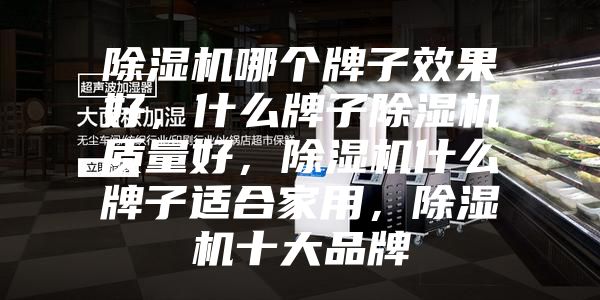 除濕機(jī)哪個(gè)牌子效果好，什么牌子除濕機(jī)質(zhì)量好，除濕機(jī)什么牌子適合家用，除濕機(jī)十大品牌