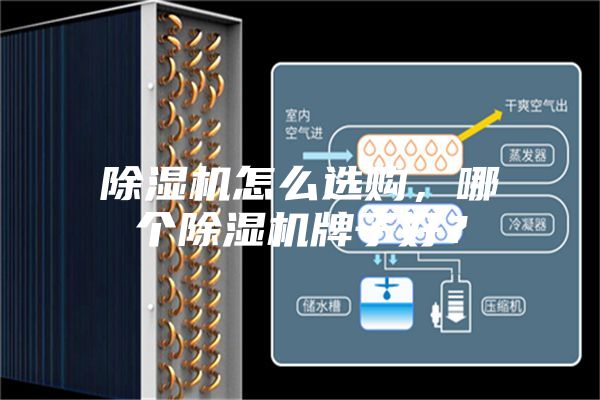 除濕機怎么選購，哪個除濕機牌子好？